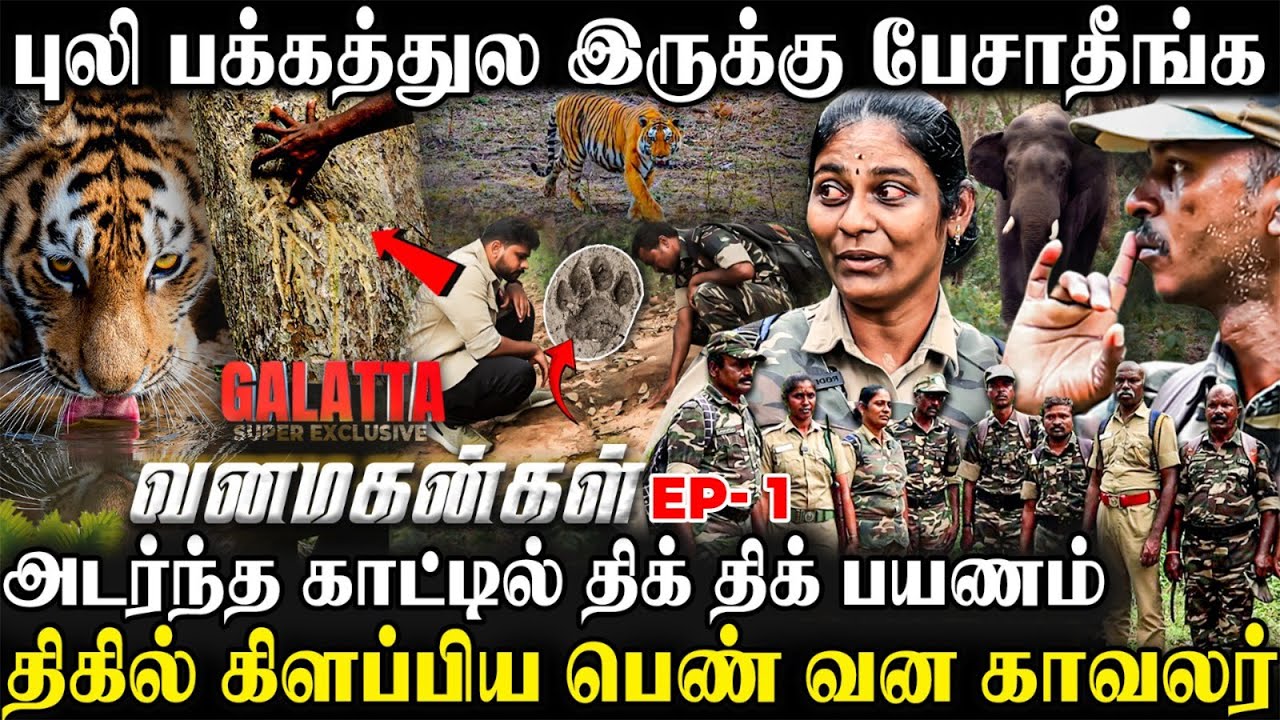 🐻கரடி குறிவெச்சா கண்ண நோண்டிடும்😳🐯நடுக்காட்டில் துப்பாக்கியுடன் திக் திக் பயணம்🐘💥| Vanamagangal Ep 1