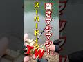 スピナーベイトも使い分け #バス釣り #bassfishing #fishing