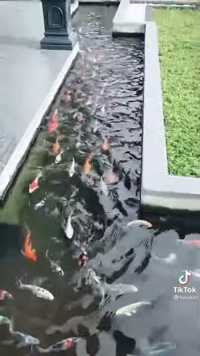Inspirasi Kolam Koi Teras Rumah