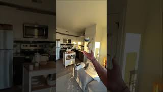 Kendama Trick: Juggle, Late ken flip, Juggle 🐠