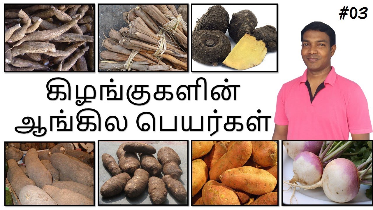கிழங்குகளின் ஆங்கிலபெயர்கள் வேர் காய்கறிகளின் ஆங்கிலபெயர்கள் Tubers