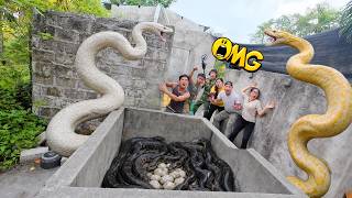 Brave Soldiers Risked Their Lives to Capture 100 Giant Pythons to Rescue Young Girl