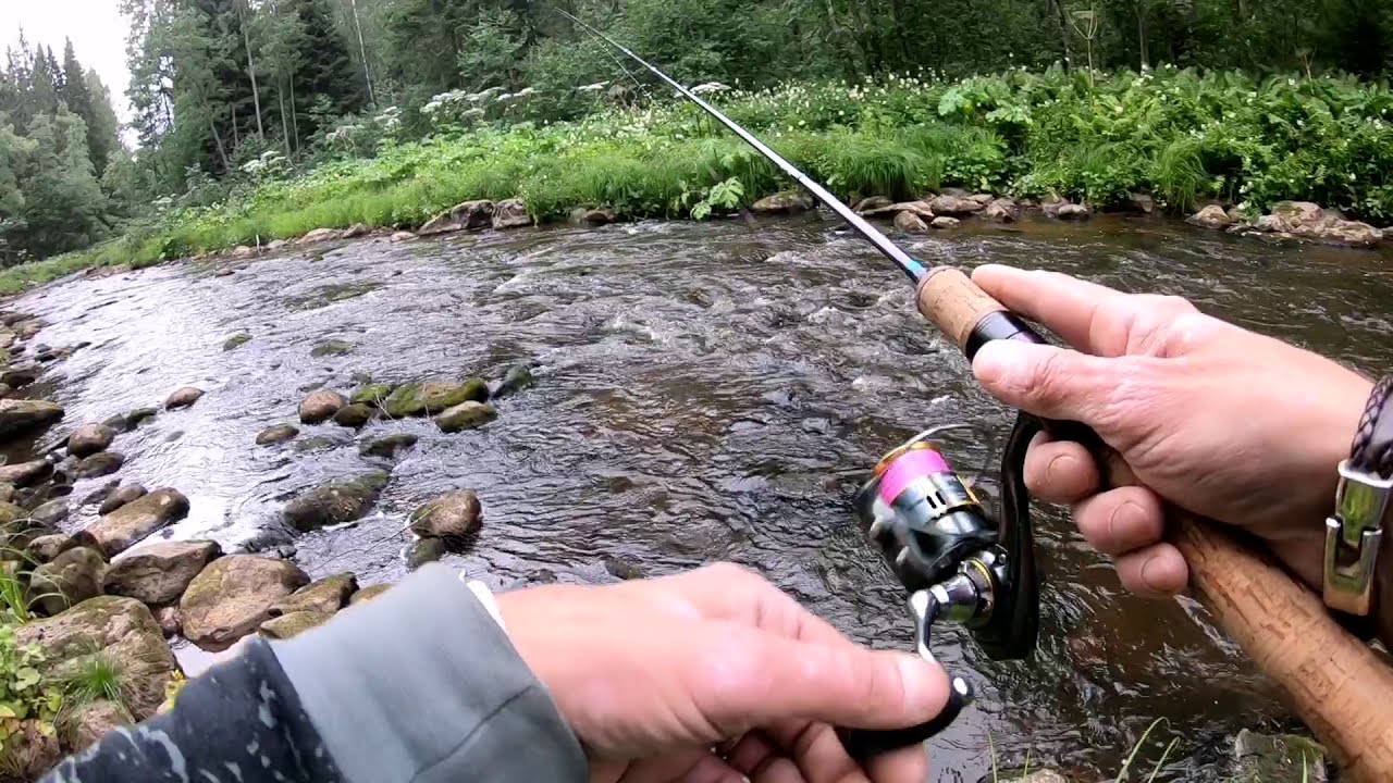 Форелевые реки Форелевые реки