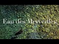 Eau des Merveilles EDT Fragrance Review