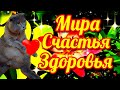 💗🌞🌈Красивое музыкальное пожелание мира, любви, счастья, здоровья, наидобрейшего утра 🎵