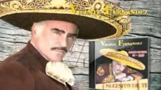 Vicente Fernandez- Guadalajara