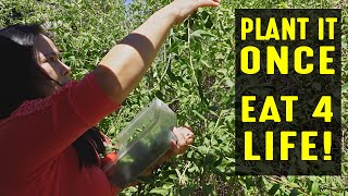 Plant It Once, Eat For Life!