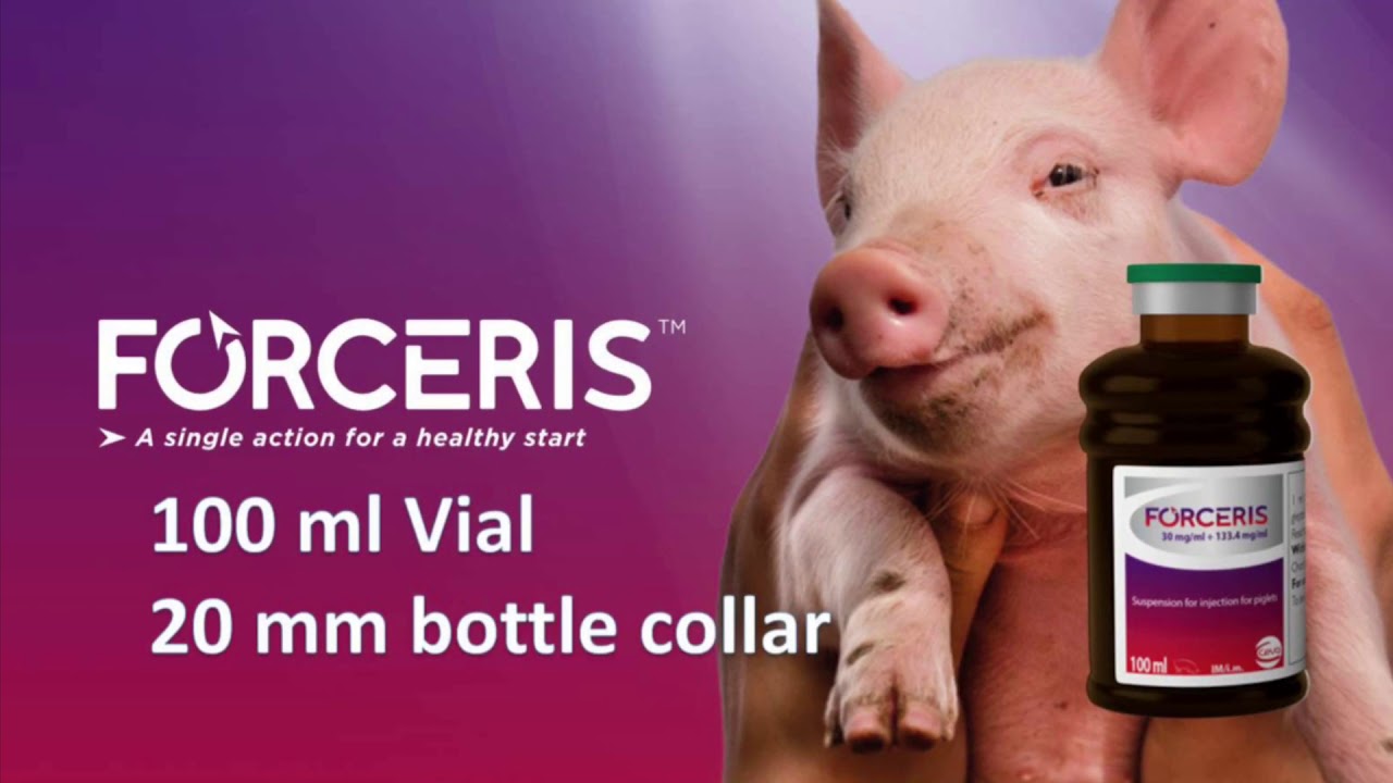 Ms Schippers Forceris 1,5 - YouTube