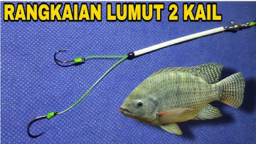 RANGKAIAN PANCING UMPAN LUMUT 2 KAIL BUAT MANCING IKAN NILA / MUJAIR
