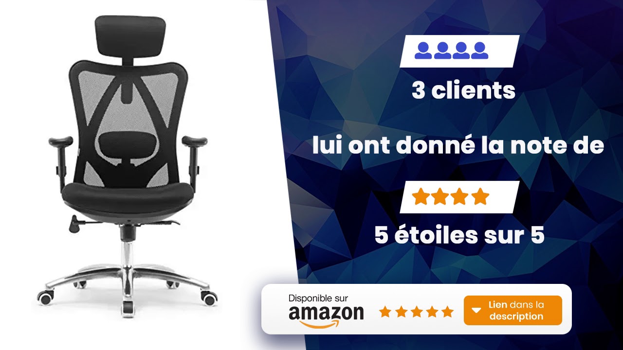 SIHOO Chaise de Bureau Ergonomique, Fauteuil de Ordinateur Pivotante Chaise Appui tête Accoudoir