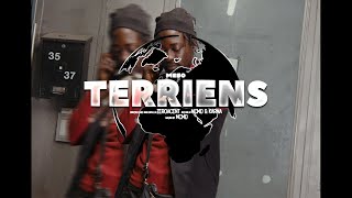 Meso - Terriens