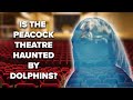Is The Peacock Theatre Haunted by Dolphins?