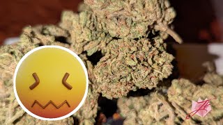 JK Distro THCA Big Nugz Ounces Box NYC Sour Diesel Review #jkdistro #thca #bignugz #nyc #sourdiesel