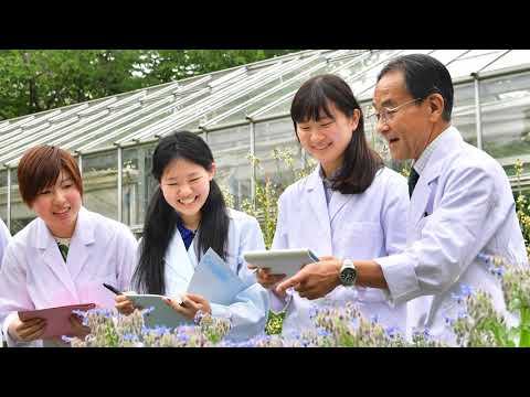 横浜薬科大学 学校概要 キャリタス進学