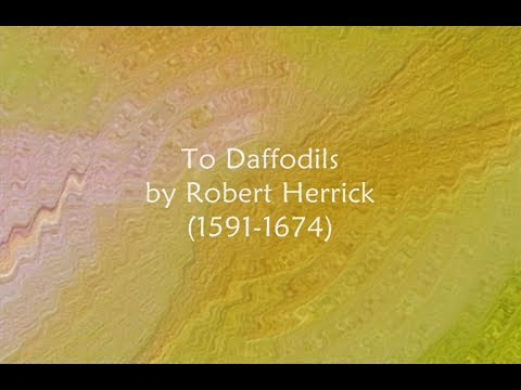 To Daffodils by Robert Herrick  - Fair Daffodils We Weep to See