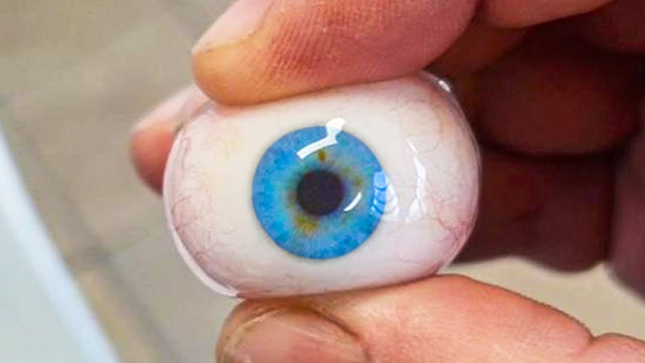 Hayatınızda İlk Defa Göreceğiniz En Çılgın 20 Olay ►5