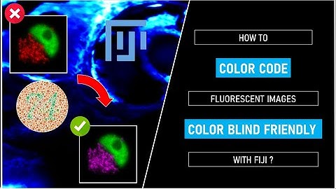 How to color code fluorescent images color blind friendly with Fiji ?