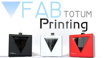 FABtotum Print Example : HandyMann