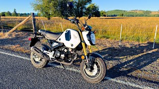 2024 Grom Comes Home!! • Amazing First Ride..! | TheSmoaks Vlog_2783