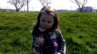 WP 20140323 002