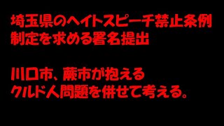 埼玉県のヘイトスピーチ禁止条例の制定の要望とクルド人問題を、黒川あつひこ3.0が解説します。#黒川あつひこ ＃つばさの党