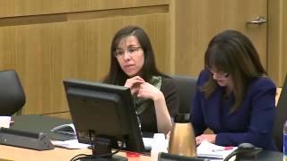 Jodi Arias Trial Day 32 (Full)