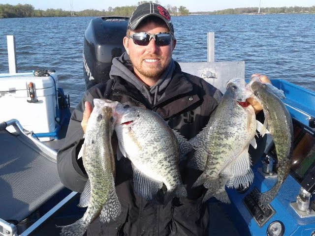 The BEST Time to Catch CRAPPIE Is Now {Livescope Fishing for Winter  Crappie} 