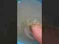 #Video #for #kids #dirt #or #cleanliness