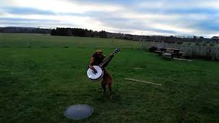 One Mad Man and His Dog