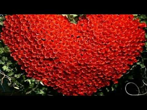 [everysing] 백년의 약속