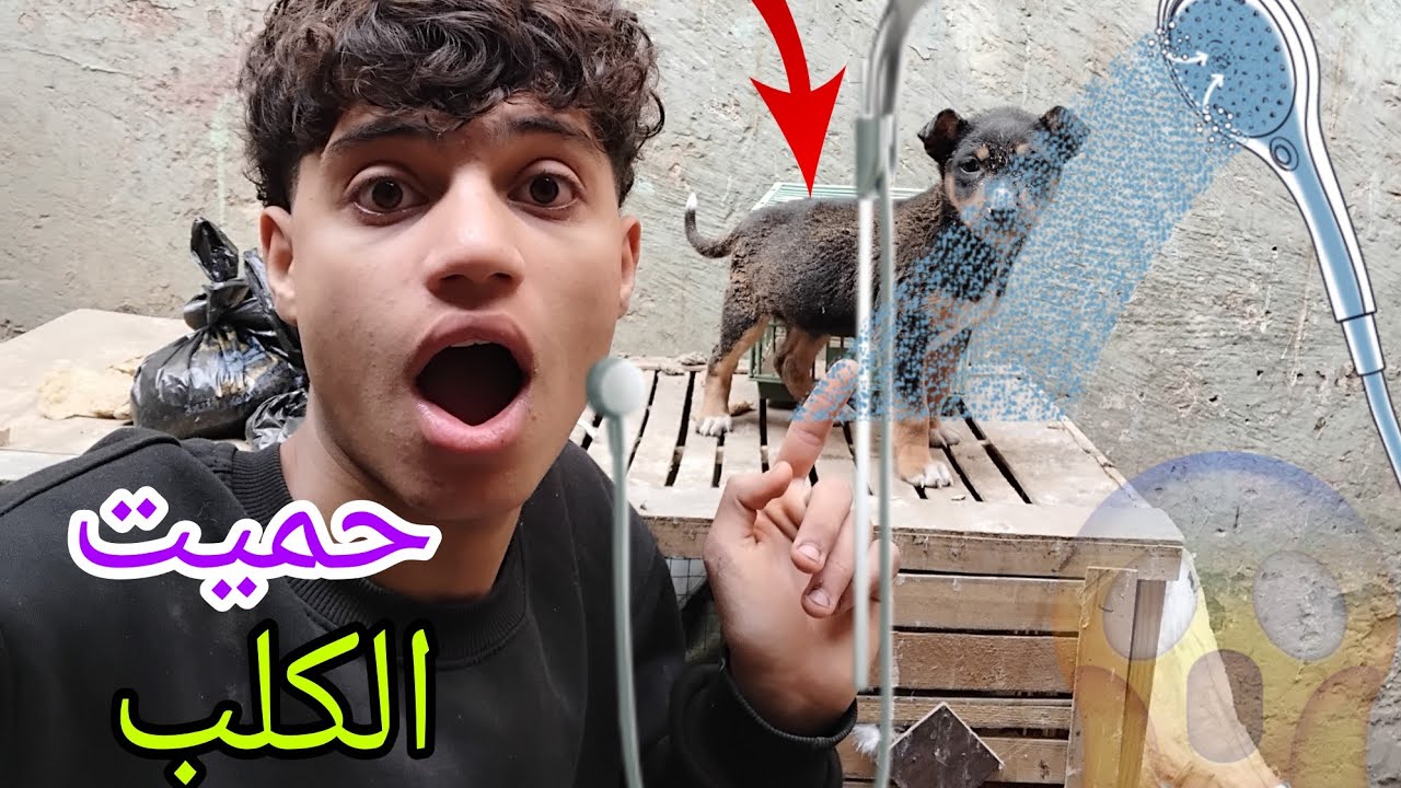 حميت بلبول لأول مره 🤔🥰شوف عملت ايه 😱