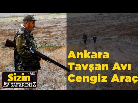 Ankara Tavşan Avı Cengiz Araç Sizin Av Safariniz Yaban Tv