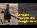 Ankara tavan av cengiz ara sizin av safariniz yaban tv