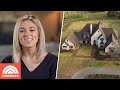 Inside Sadie Robertson’s Stunning Home and Wedding Venue | TODAY