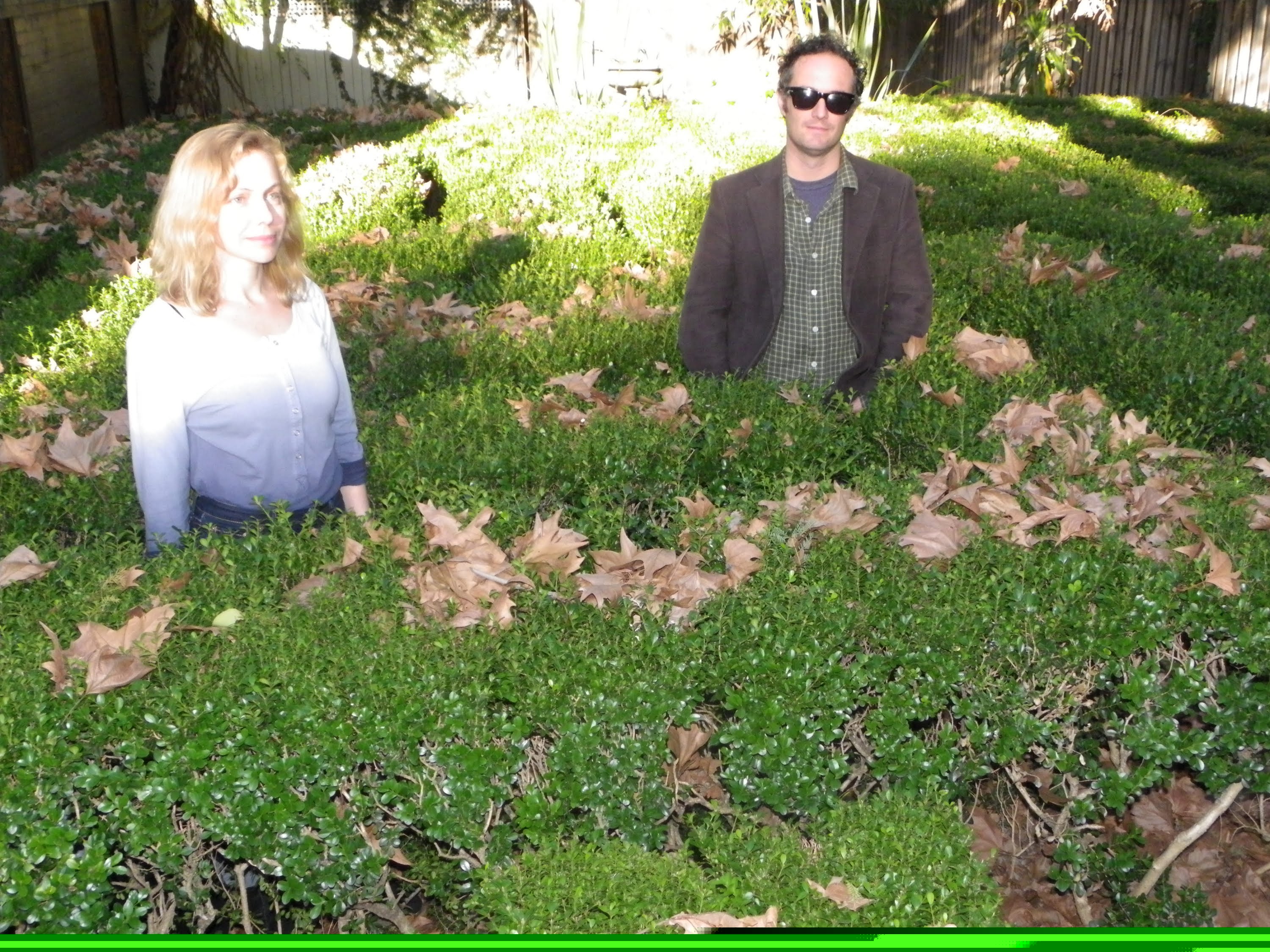 Primitive Motion - Colours