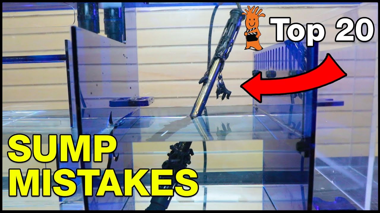 Top Aquarium Sump Mistakes You Don't Want To Make! But Do You Even Need One? - YouTube