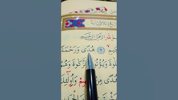 سورة لقمان الأية 1 إلى 5 القارئ سعد الغامدي