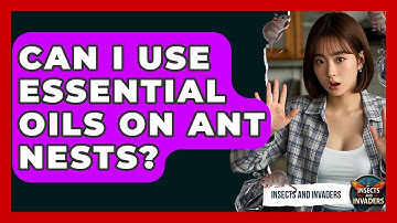 Can I Use Essential Oils On Ant Nests? - Insects and Invaders