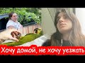 VLOG Плакать хочется