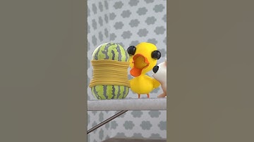Watermelon challenge🍉🫨#humor #challenge #babyduck