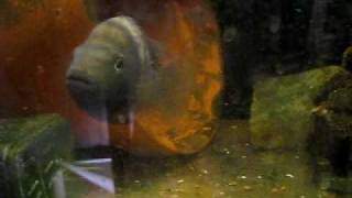 MVI_2551.avi