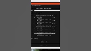 Installing Ubuntu 24.04 With RAID 1 #shorts