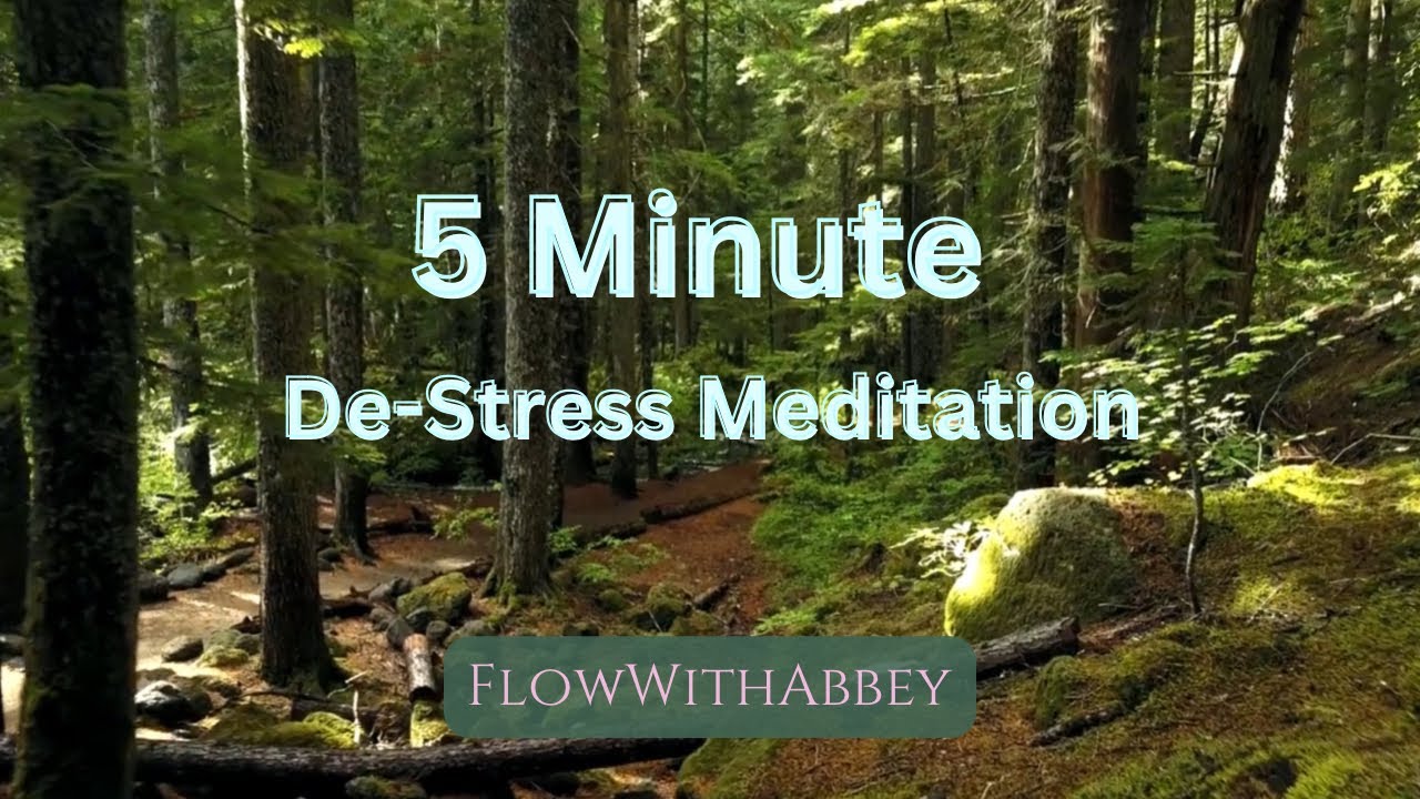 5-Minute Guided Meditation for Anxiety & Stress Relief | Instant Calm ...