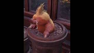 Mole hunting gone wrong