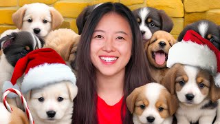 I Let 100 Shelter Dogs Pick a Gift for Christmas by Kize 5,652 views 4 months ago 7 minutes, 30 seconds