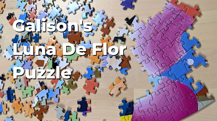 Circular Jigsaw Puzzle Timelapse - 1000 Piece Puzzle Timelapse