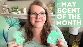 May Scent of the Month Review: Blooming Marvelous! | Scentsy 🌸🌷💚
