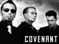 Covenant  dead stars