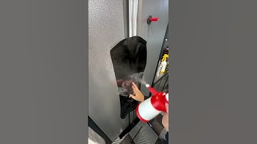 How to Tint car windows! 😎 #satisfying #satisfyingvideo #asmr #asmrsounds #car #tinting