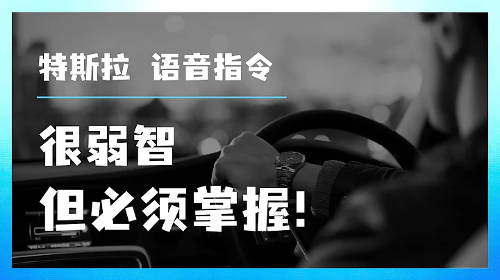 EP5：安全驾驶特斯拉，我建议你记住这些语音指令（车辆设置，导航，空调，多媒体，从四个常用角度演示Model Y的常用语音指令） - 天天要闻